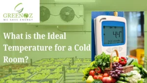 Read more about the article What is the Ideal Temperature for a Cold Room?