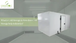 Read more about the article What is Cold Storage & How does Cold Storage help industries?