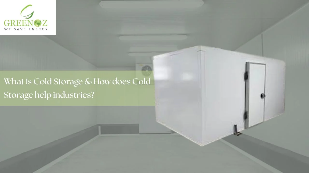 Read more about the article What is Cold Storage & How does Cold Storage help industries?